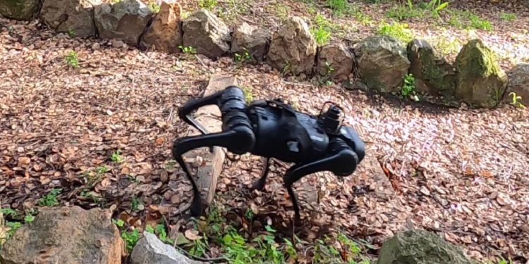 AI Improves Robotic Performance in DARPA’s Machine Common Sense Program